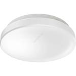 OSRAM P225458 (4099854105838)