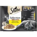 Sheba Selection Poultry in sauce паучове за котка микс 4 * 85gr