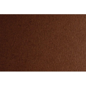 Fabriano Картон Colore, 50 x 70 cm, 200 g/m2, № 226, кафяв (1530100109)