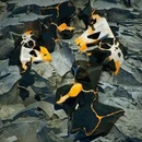 Eomac - Cracks LP