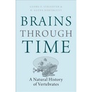 Brains Through Time