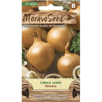 Cibuľa jarná žltá VŠETANA MoravoSeed