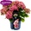 Royalty Collection® Lady Mata Hari Pink Royalty Collection® Хортензия macrophylla
