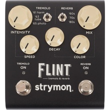 Strymon Flint V2