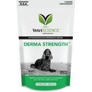 VetriScience Derma Strenght podp.kůže psi 70 ks 140 g