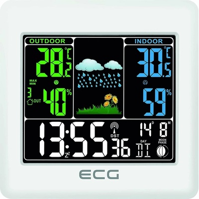 ECG MS 300