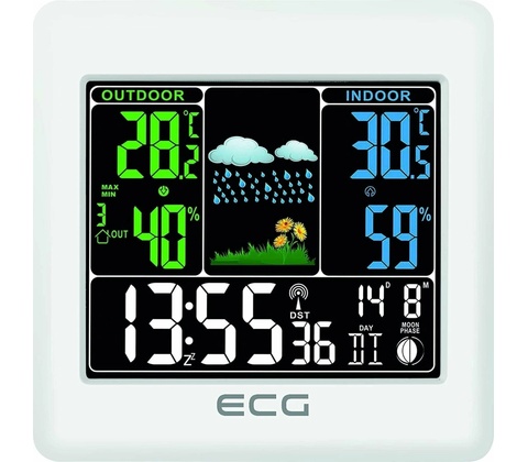 ECG MS 300