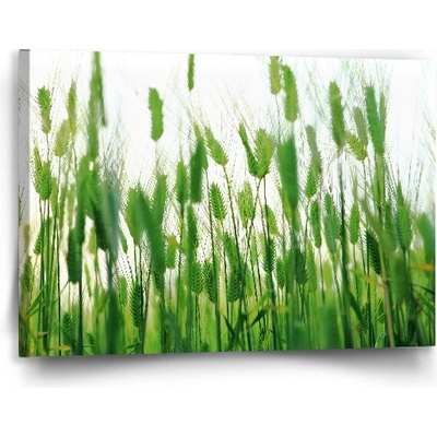 Sablio Obraz Klasy - 90x60 cm