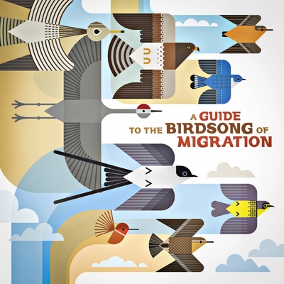 Various Artists, A GUIDE TO THE BIRDSONG OF MIGRATION, CD