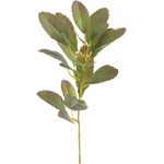 Ixia Изкуствена клонка (височина 37 cm) Lemon Tree - Ixia (602107)