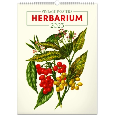 Nástěnný Vintage plakáty herbář 2025