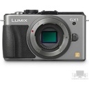 Digitální fotoaparáty Panasonic Lumix DMC-GX1