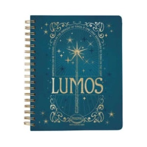 Harry Potter: Spells and Potions 12-Month Undated Planner (ISBN: 9798886631364)