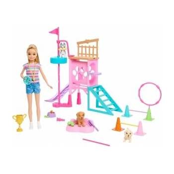 Mattel Barbie Stacie to the Rescue Puppu Playground playset + doll