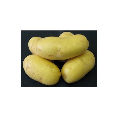 Rane Sadbove Brambory Belana () Rane Sadbove Brambory Belana