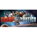 Cosmonautica