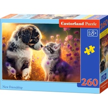 Castorland Přátelství 260 dílků