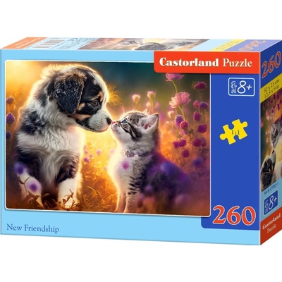 Castorland Přátelství 260 dílků