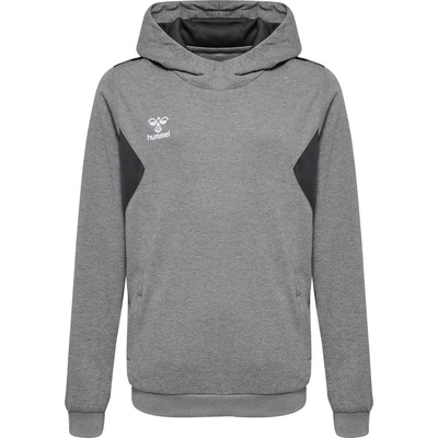 Hummel HML Authentic Pl Hoodie Kids 219977-2006