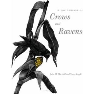 In the Company of Crows and Ravens (ISBN: 9780300122558)