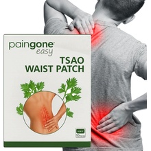 Tsao Waist Patch Bylinné náplasti na úľavu od bolesti chrbta 10 ks