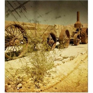 DIMEX ART Флизелинов фототапет стар вагон 225 x 250 см