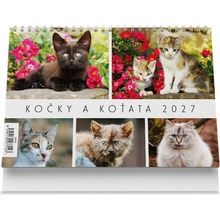 Vikpap stolní Kočky a koťata 22 × 14,8 cm 2027