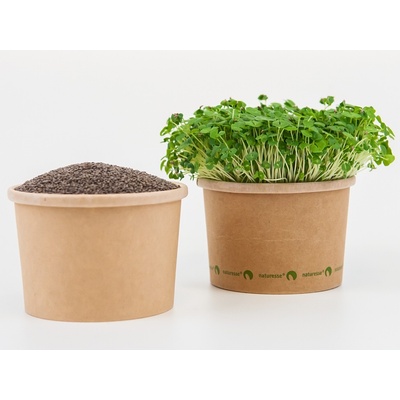 Tiny Greens Chia - BIO semínka na klíčení a microgreens Množství: 200g