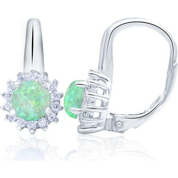 Beneto náušnice AGUC1206