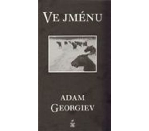 Ve jménu
