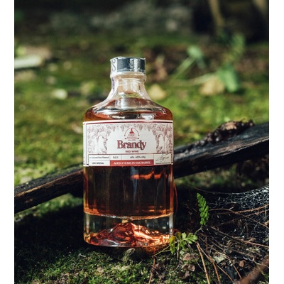 Grič BRANDY 45% 0,5 l (kartón)