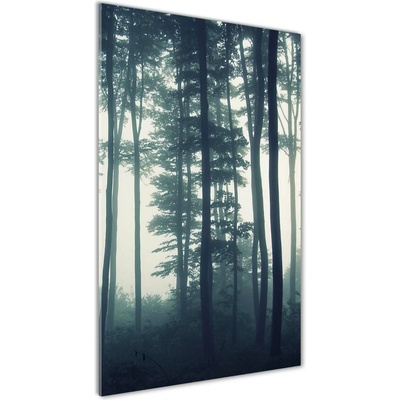 Vertikálny foto obraz sklenený Hmla v lese 50x100 cm
