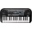 Kurzweil KP10