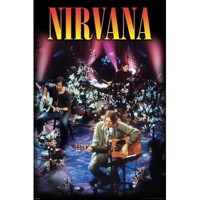 Plagát, Obraz - Nirvana - Unplugged, 61 × 91.5 cm