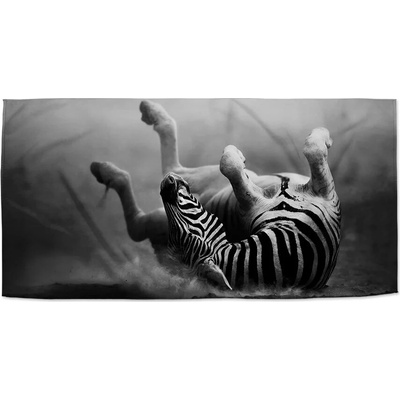 Sablio Uterák Válející se zebra 50 x 100 cm