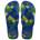 Havaianas Джапанки brasil fresh