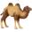 Papo Фигурка Papo Wild Animal Kingdom - Двугърба камила (50129)