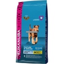 Eukanuba Senior Large Breed 3 kg