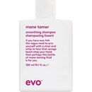 evo Mane Tamer Smoothing Shampoo 300 ml