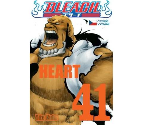 Bleach 41 Heart