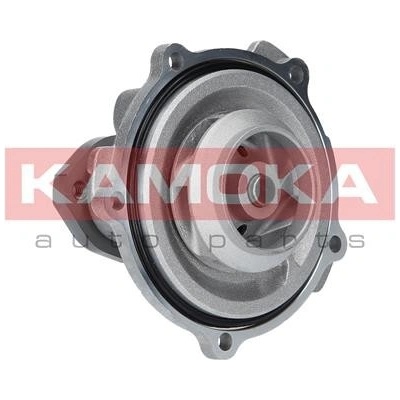 Kamoka T0038