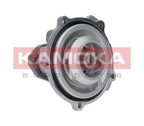 Kamoka T0038