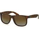 Ray-Ban RB4165 865 T5