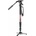 Manfrotto MVMELMIIA4LIVE