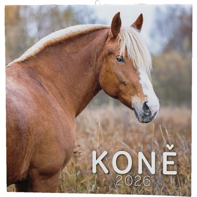 Nástěnný Baloušek čtvercový Koně 2026