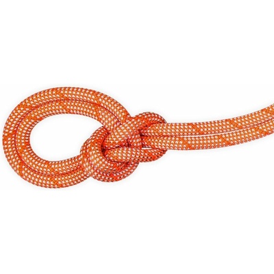 Mammut 9.8 Crag Classic Rope 40 m