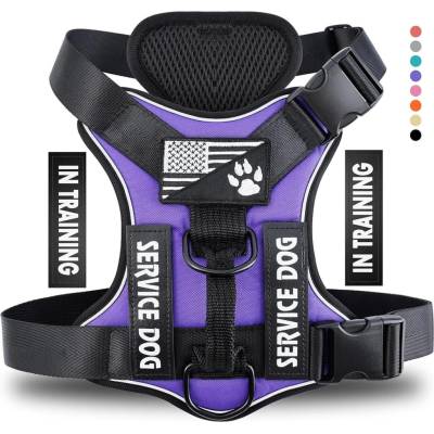 Demigreat Postroj pro psy