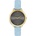 Ted Baker BKPHTS211