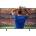 Samsung QE55S85HAE