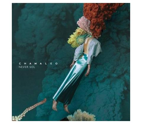 NEVER SOL - CHAMALEO CD
